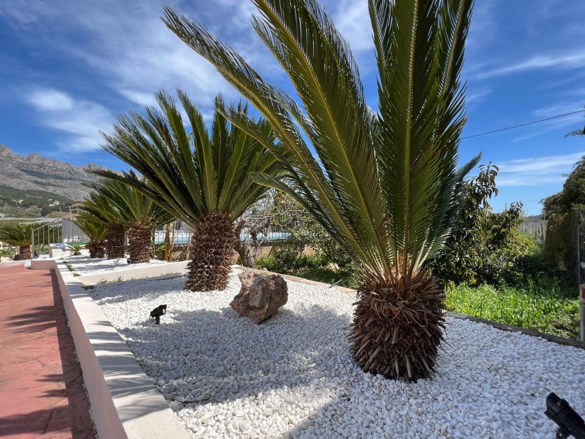 Casa Rural Altaret Callosa de Ensarria Ngoại thất bức ảnh